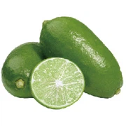 Bergamot Powder Bergamot Powder