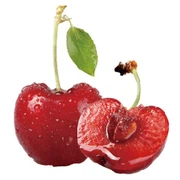 CHERRY POWDER CHERRY POWDER