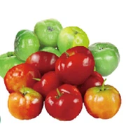 ACEROLA CHERRY POWDER ACEROLA CHERRY POWDER