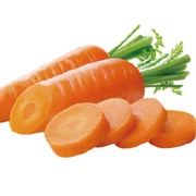 CARROT POWDER CARROT POWDER