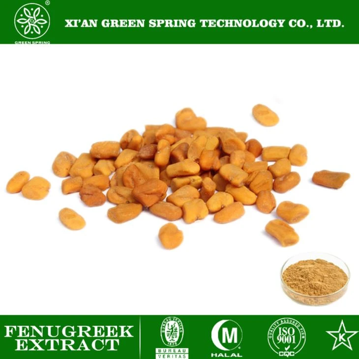 Fugreek Extract puder